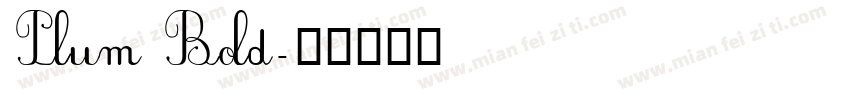 Plum Bold字体转换